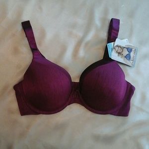 NWT 36C Vanity Fair